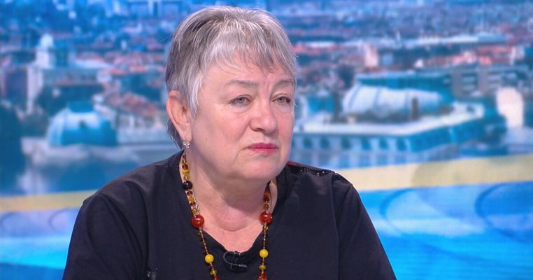 Надежда Стойчева, директор на фондация "Асоциация Анимус"