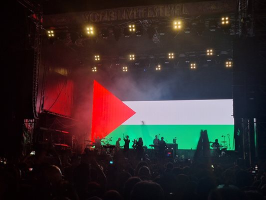 КАДЪР ОТ КОНЦЕРТА НА MASSIVE ATTACK В СОФИЯ. СНИМКА: ФЕЙСБУК