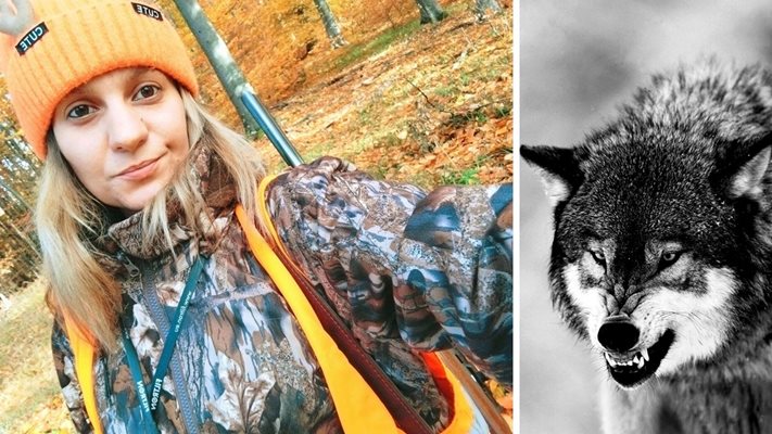 Вълци стряскат единствената жена шеф в лова